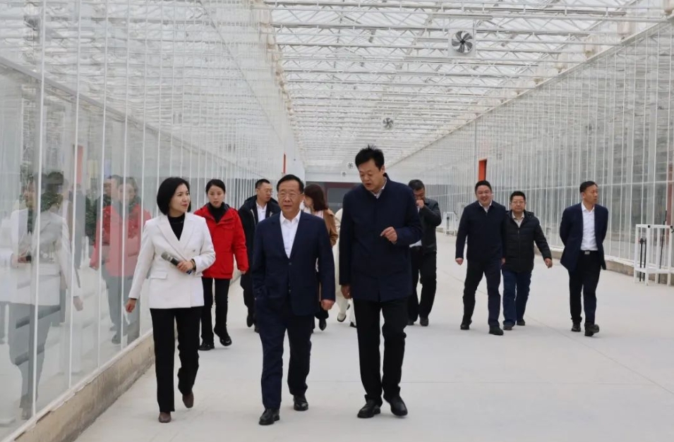 省邮储银行一行到威客电竞开展银企合作交流调研