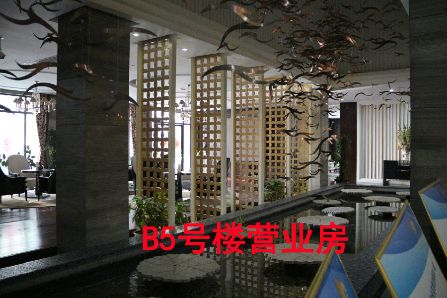 06.jpg