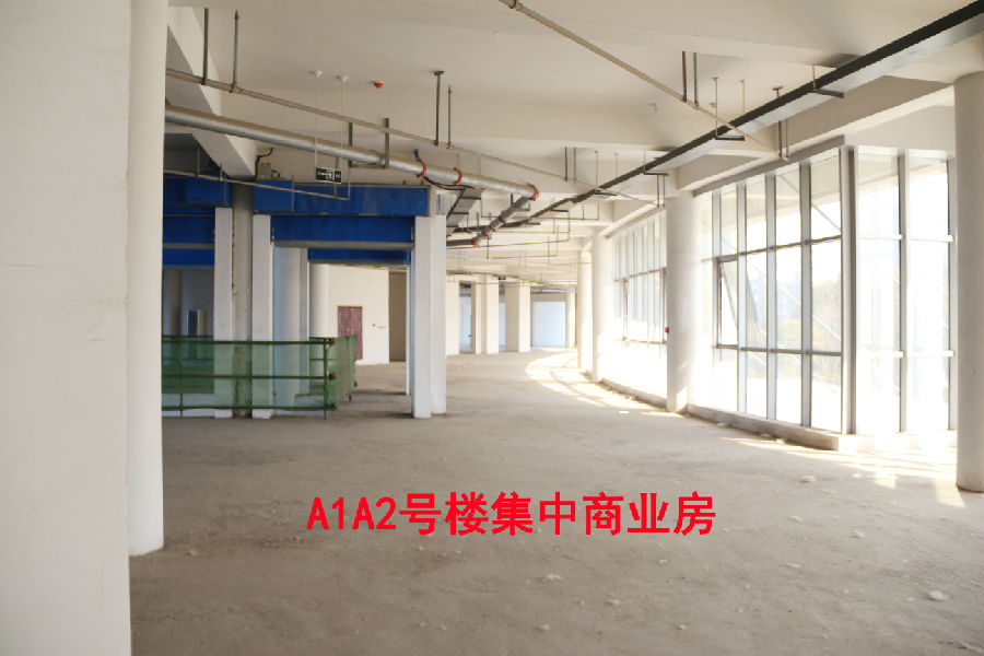 05.jpg